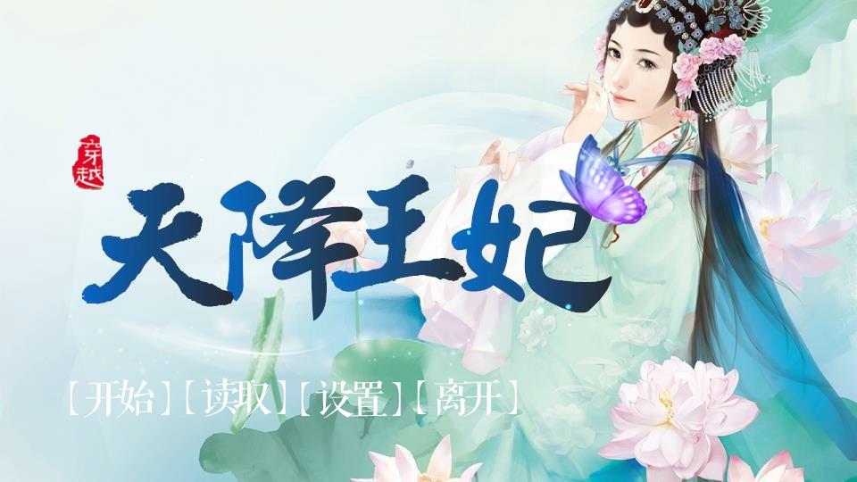 穿越之天降王妃