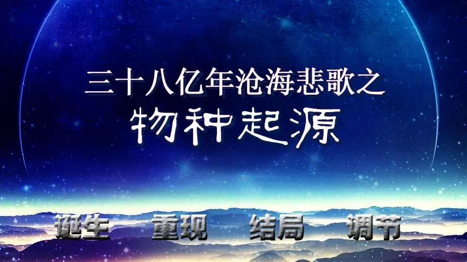 cg8839yw 61 精选集