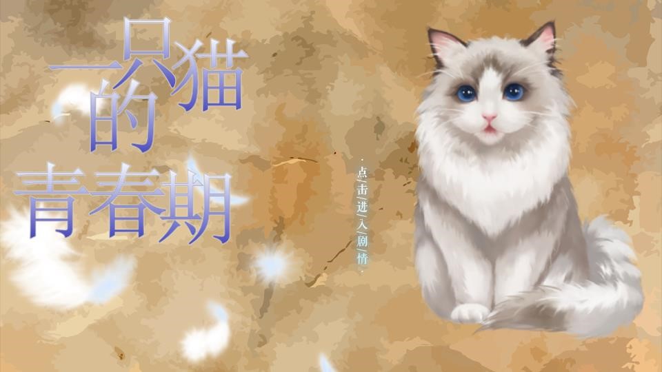 一只猫的青春期