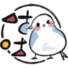 S&G
