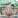 落笔橙金