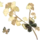 蝶之灵