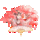 牡丹遇