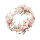 花戒
