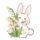 风铃兔兔