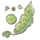 小豌豆
