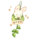端午安康兔兔