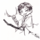 狗拿耗子