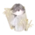 竹