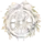 白昼牢笼