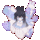 梦中奇遇