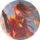 落日·限量
