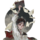 囚笼