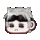 大头喵喵