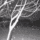 雪夜求婚