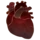 心脏