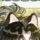 长风入怀