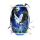 risvegli
