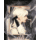 文艺复兴