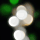 午后回忆·吴总