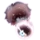 趴趴小孔
