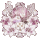粉百合