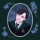 Albert 