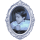 生命一贫如洗