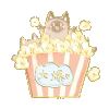 猫咪大爆