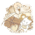 拾光小记